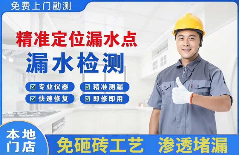 宿松精准测漏点